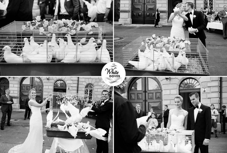 Hochzeitsreportage von Annette und Christian im Faberschloss in Stein